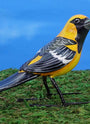 Altamira Oriole Ceramic Figurine