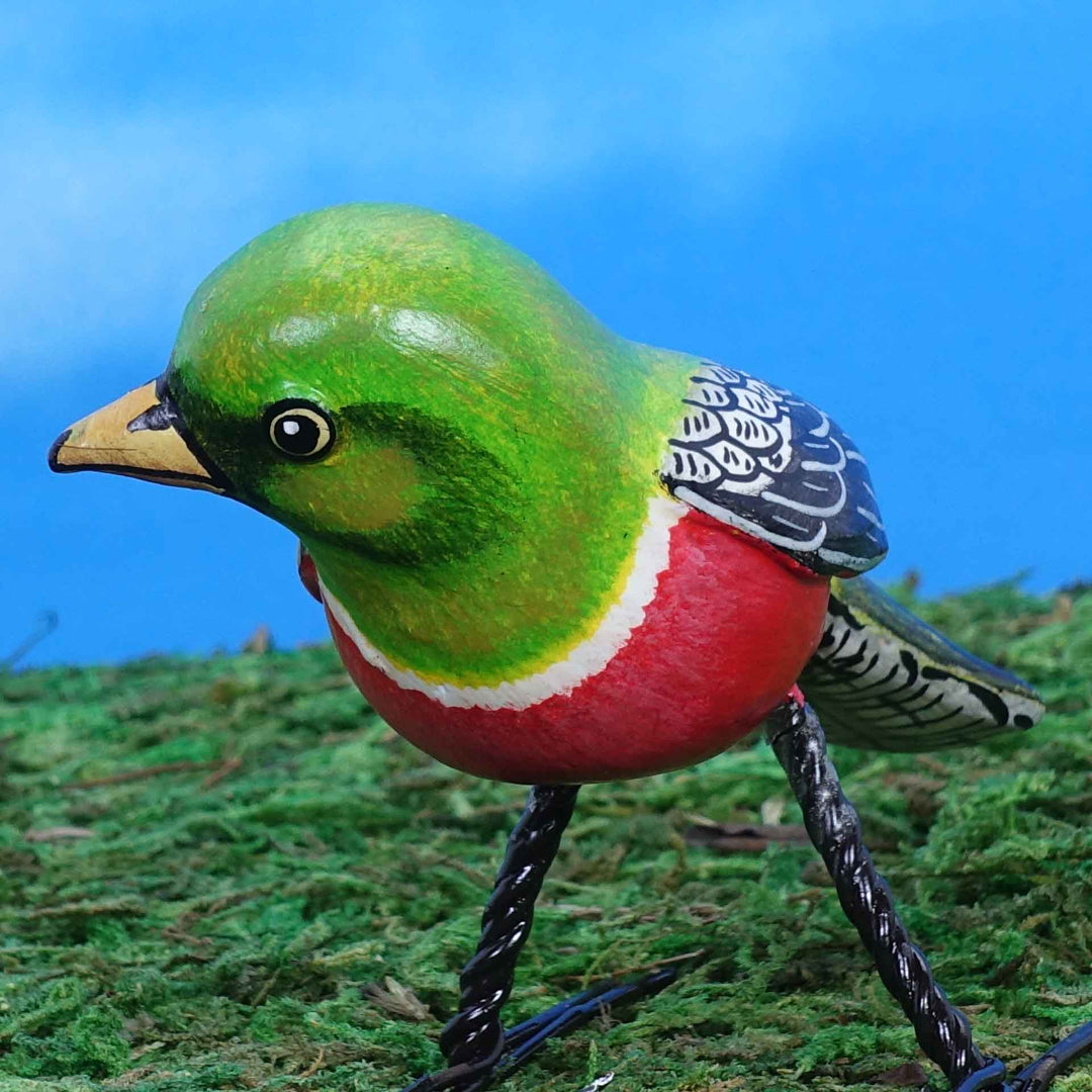 Elegant Trogon Ceramic Figurine