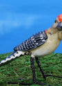 Red-bellied Woodpecker ceramic figurine