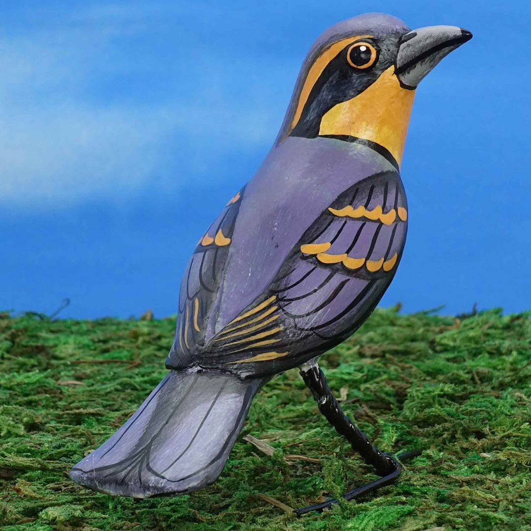 Varied thrush ceramic figurine, back view