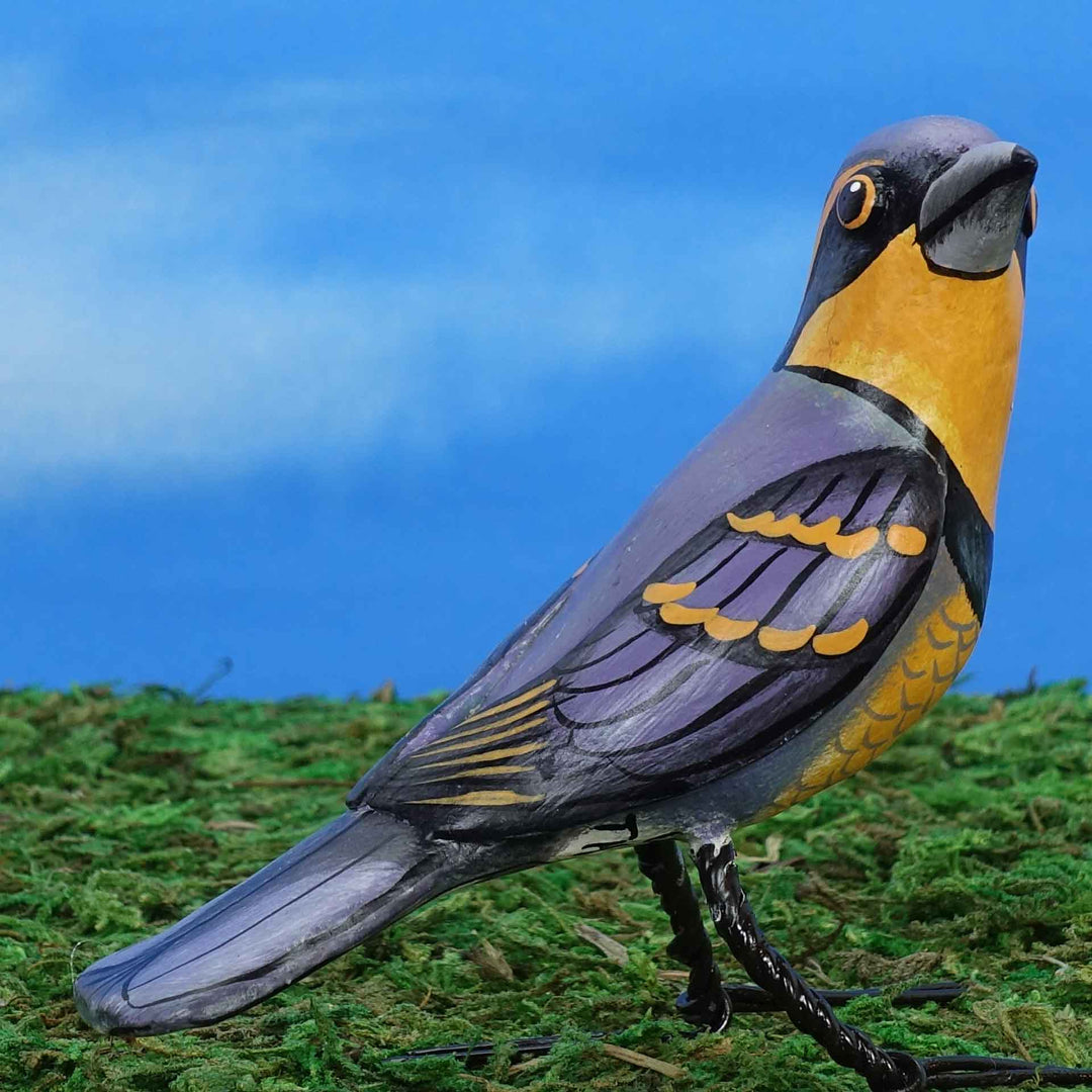 Varied thrush ceramic figurine